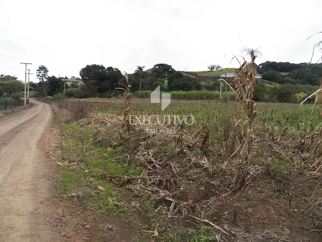 Terreno com 891m², à venda, no bairro Linha Palmas (Distrito) em Arroio Do Meio