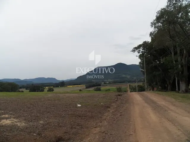 Terreno com 891m², à venda, no bairro Linha Palmas (Distrito) em Arroio Do Meio