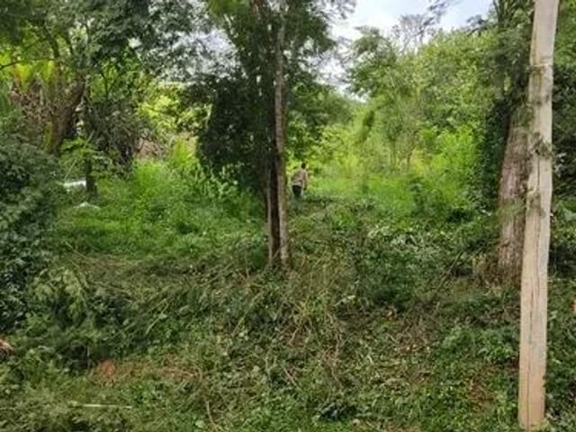 Foto do Terreno - Terreno à venda, 1000 m² por R$ 190.000,00 - Chácaras Pousada do Vale - São José dos Campos/SP | INDEPENDENCE NEGOCIOS IMOBILIARIOS LTDA