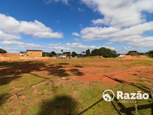 Terreno para alugar, no bairro Butiatuvinha em Curitiba