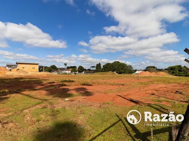 Terreno para alugar, no bairro Butiatuvinha em Curitiba