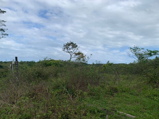 Terreno com 607m², à venda, no bairro Vale Encantado em Macaé