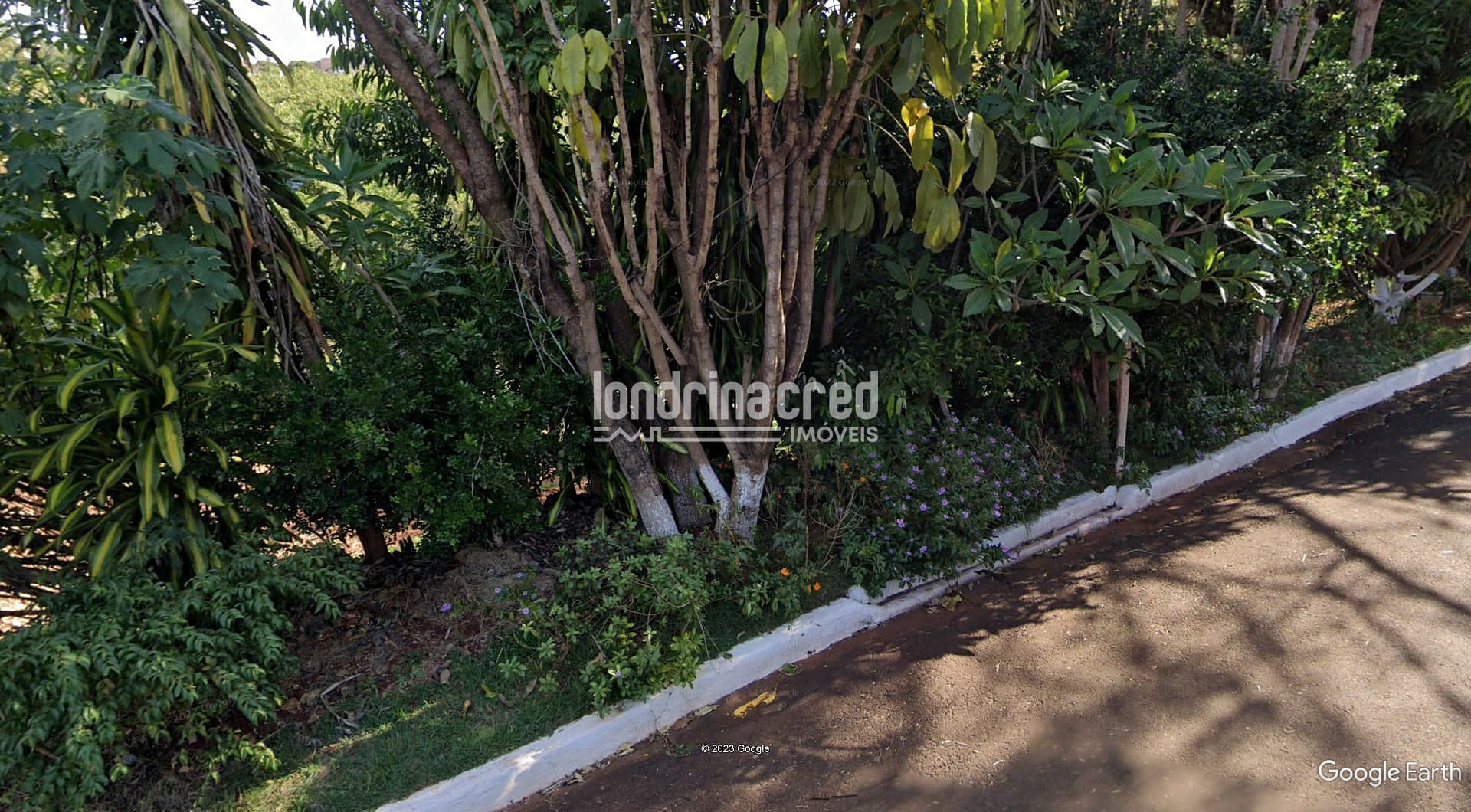 Terreno, 259 m² - Foto 1