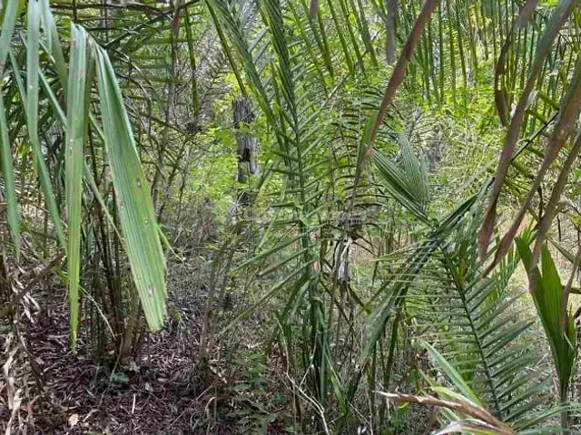 Terreno à venda, no bairro Zona Rural em Demerval Lobão