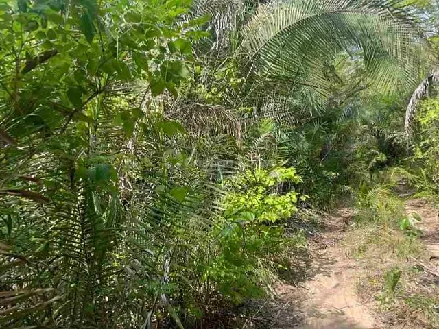 Terreno à venda, no bairro Zona Rural em Demerval Lobão