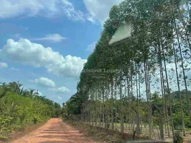 Terreno à venda, no bairro Zona Rural em Demerval Lobão