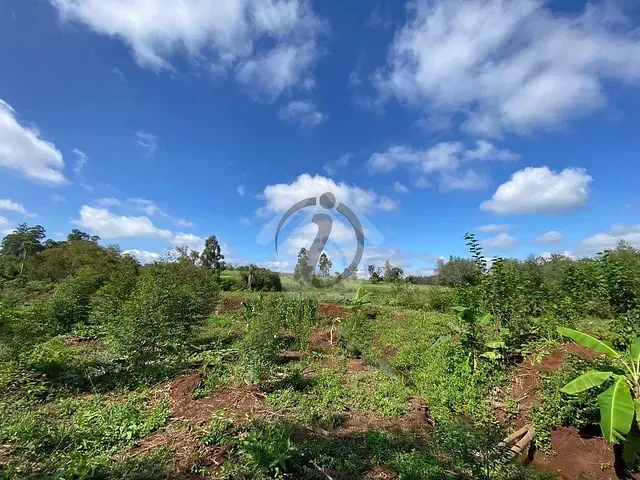 Terreno com 20000m², à venda, no bairro Fazenda São José em Paverama
