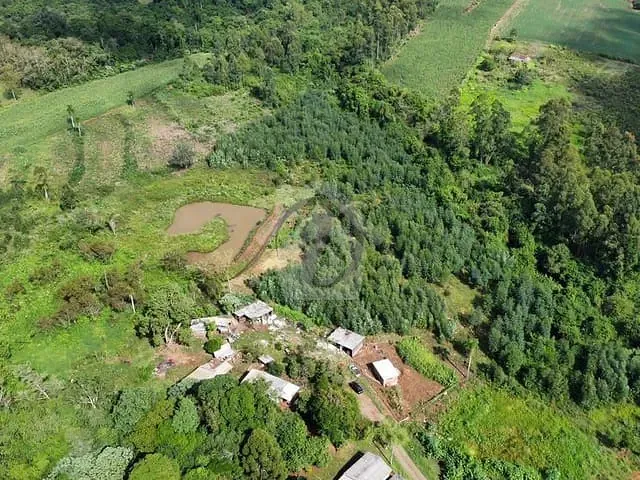 Terreno com 20000m², à venda, no bairro Fazenda São José em Paverama