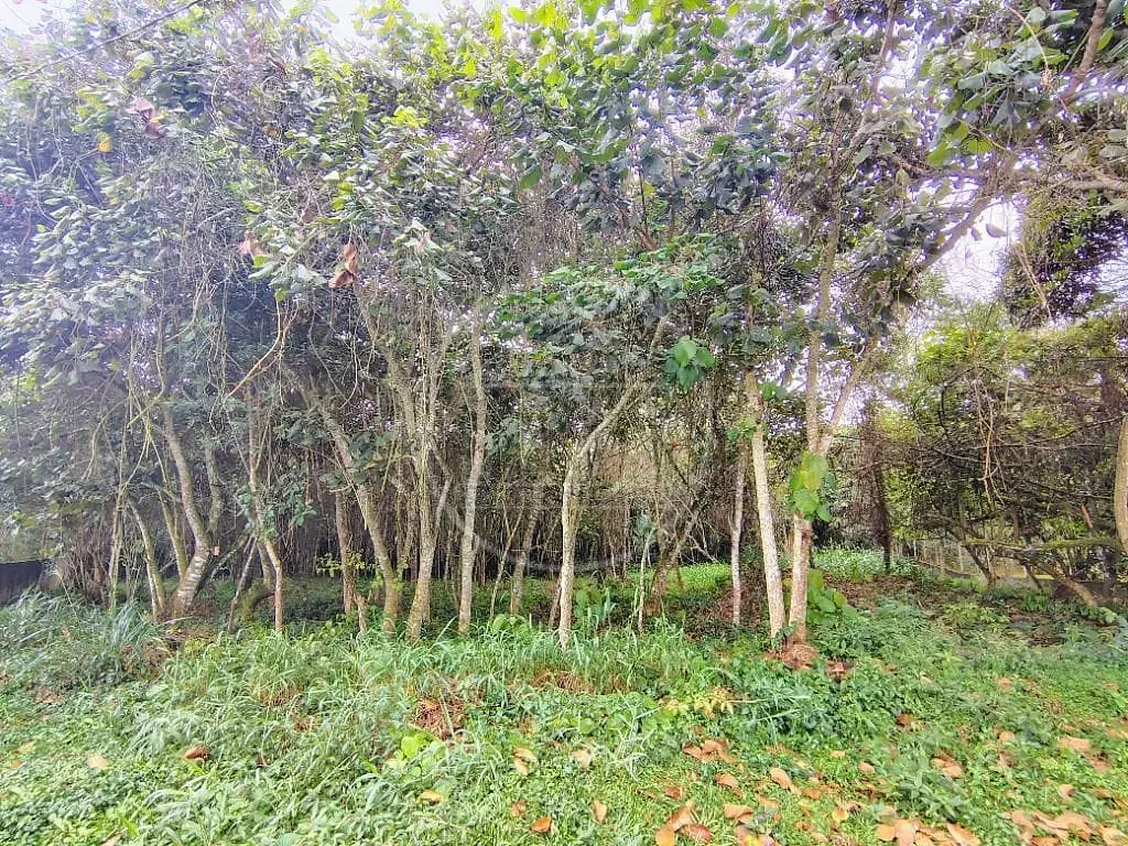 Terreno, 1493 m² - Foto 39