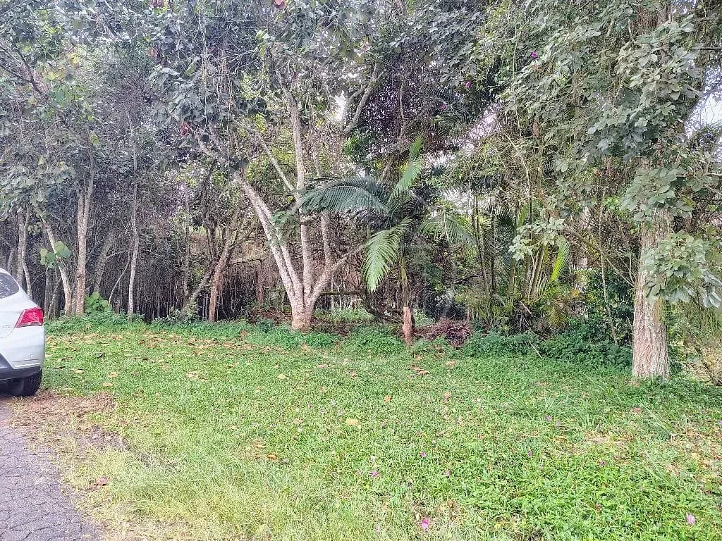Terreno, 1493 m² - Foto 9