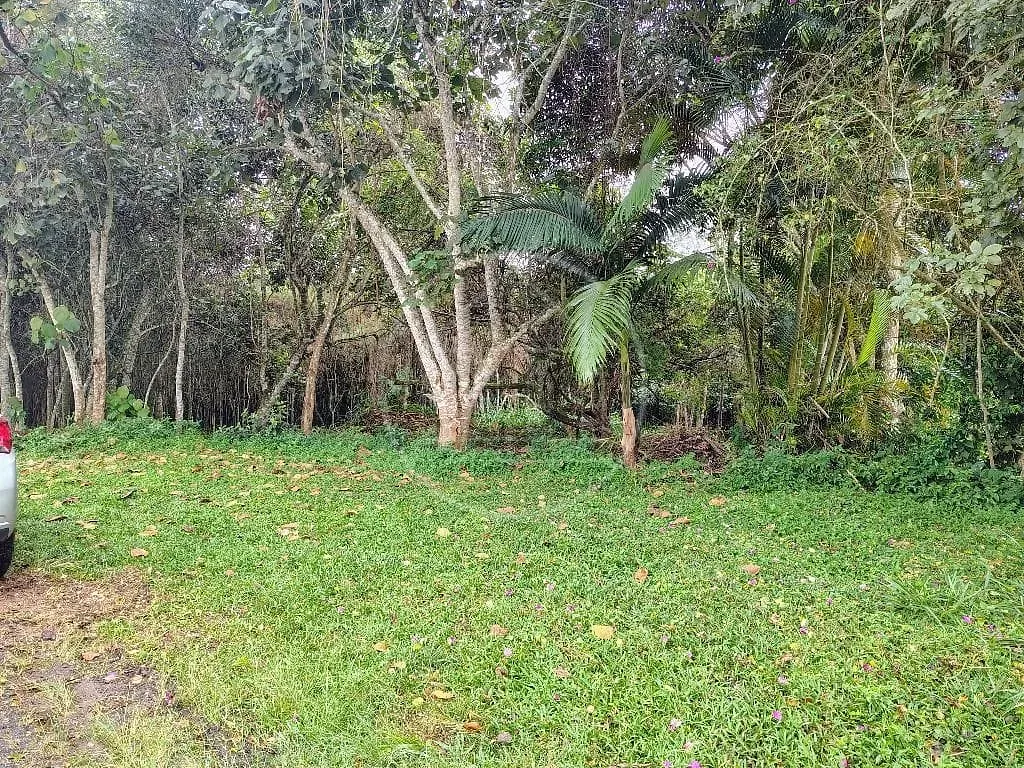 Terreno, 1493 m² - Foto 10