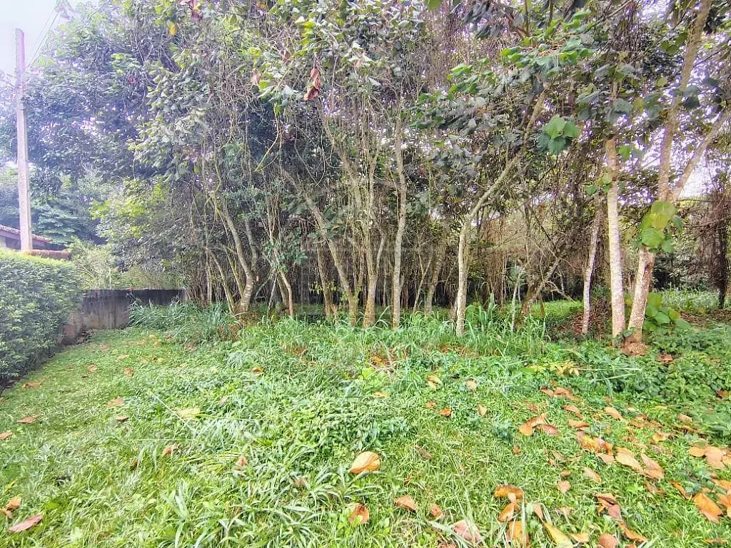Terreno, 1493 m² - Foto 30