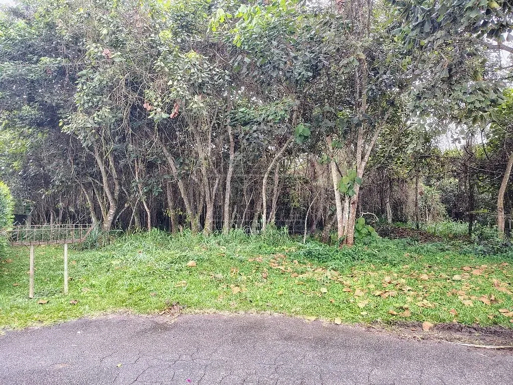 Terreno, 1493 m² - Foto 11