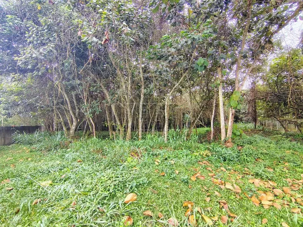 Terreno, 1493 m² - Foto 40