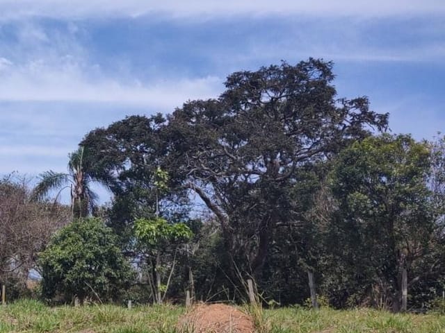 Terreno com 1300m², à venda, no bairro Godoi em Extrema