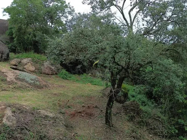 Terreno com 8395m², à venda, no bairro Portão em Atibaia