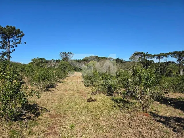 Terreno com 66060m², à venda, no bairro Área Rural de Chapecó em Chapecó