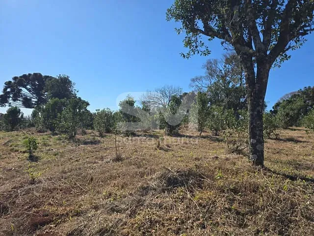 Terreno com 66060m², à venda, no bairro Área Rural de Chapecó em Chapecó