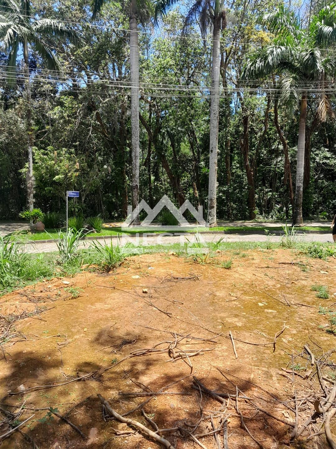 Terreno, 403 m² - Foto 4