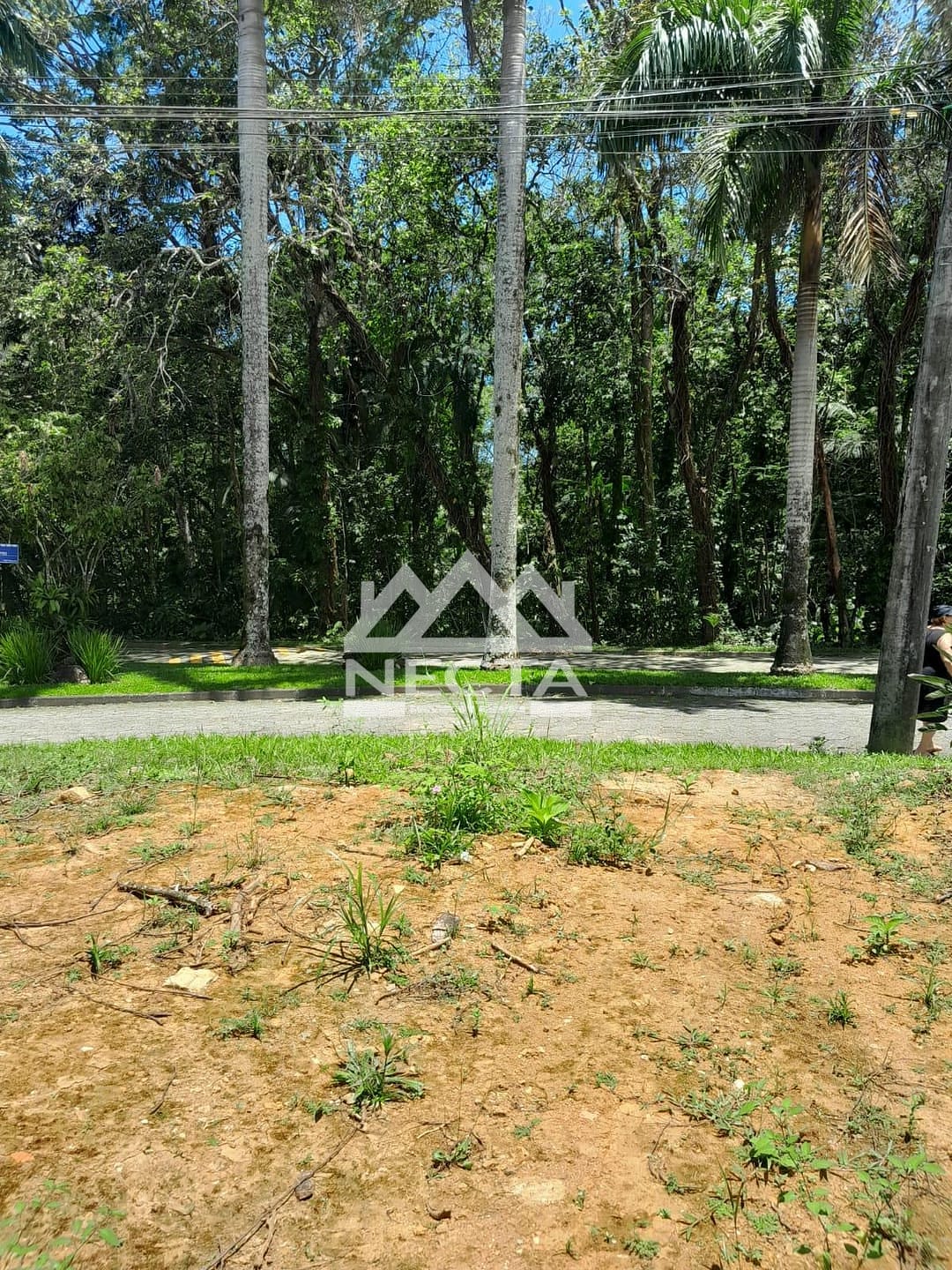 Terreno, 403 m² - Foto 5