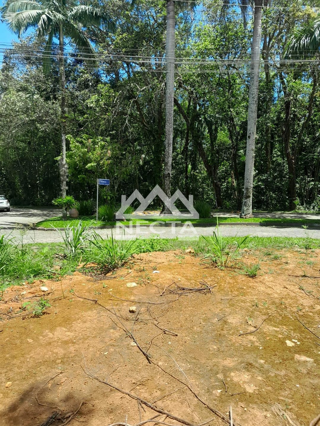 Terreno, 403 m² - Foto 6