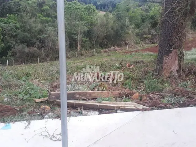 Terreno com 1000m², à venda, no bairro Parque De Exposições em Concórdia