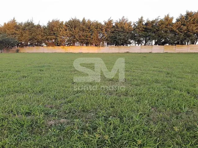 Terreno com 1993m², à venda, no bairro GUATAMBU em Guatambú