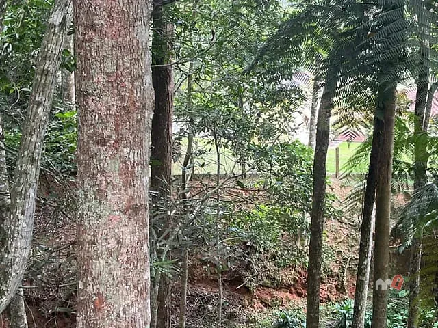 Terreno com 19899m², à venda, no bairro Retiro em Petrópolis