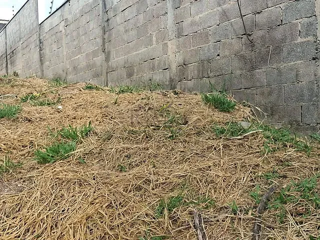 Terreno com 478m², à venda, no bairro Jardim Paulista em Atibaia