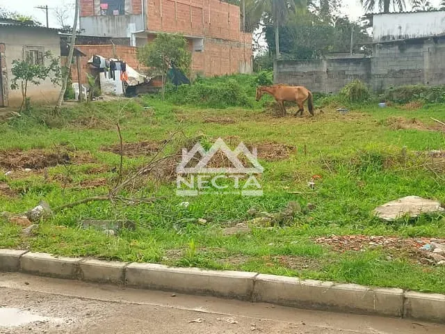 Terreno com 900m², à venda, no bairro Pegorelli em Caraguatatuba