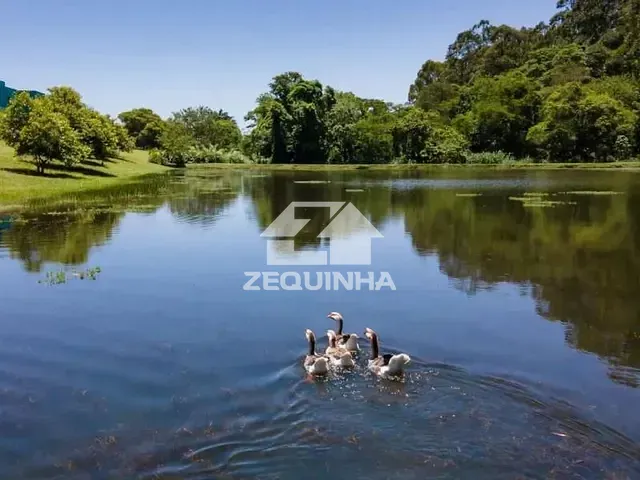 Terreno com 450m², à venda, no bairro Centro em Águas de Santa Bárbara