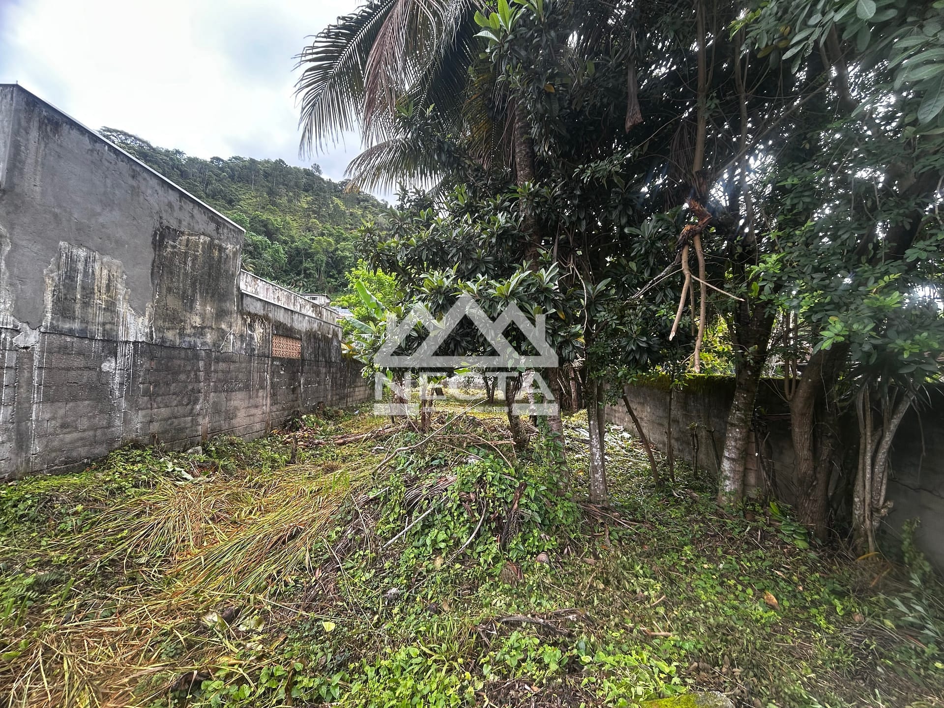 Terreno, 300 m² - Foto 2