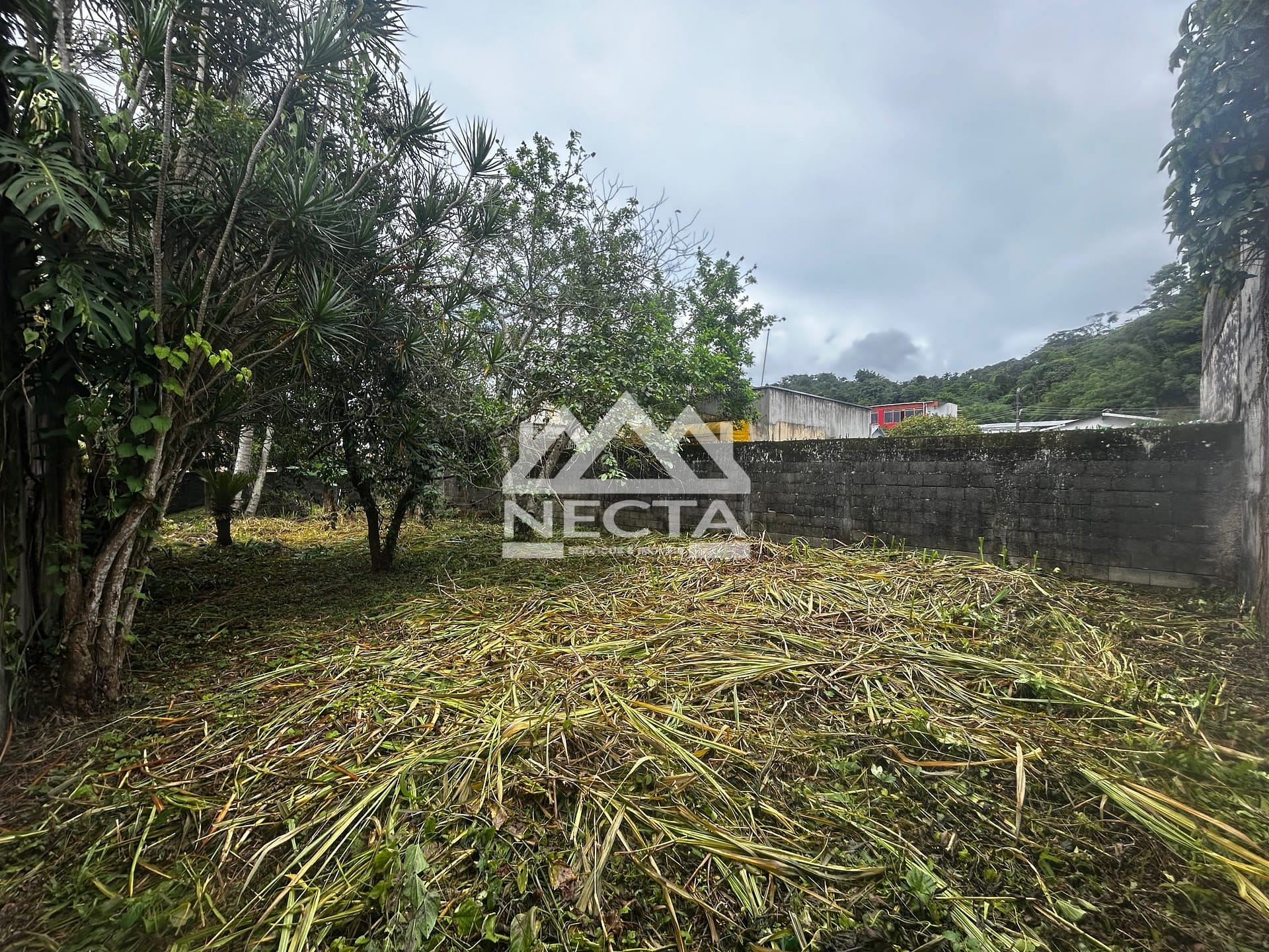 Terreno, 300 m² - Foto 1