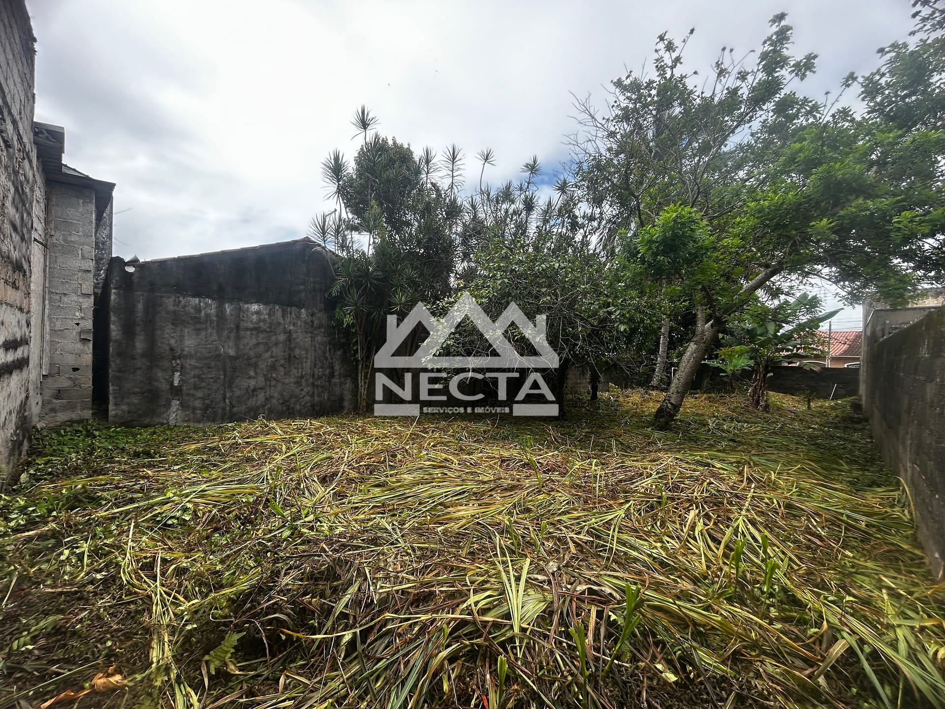 Terreno, 300 m² - Foto 8