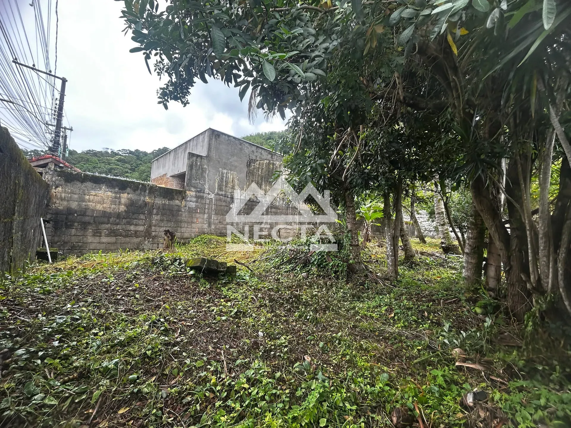 Terreno, 300 m² - Foto 7