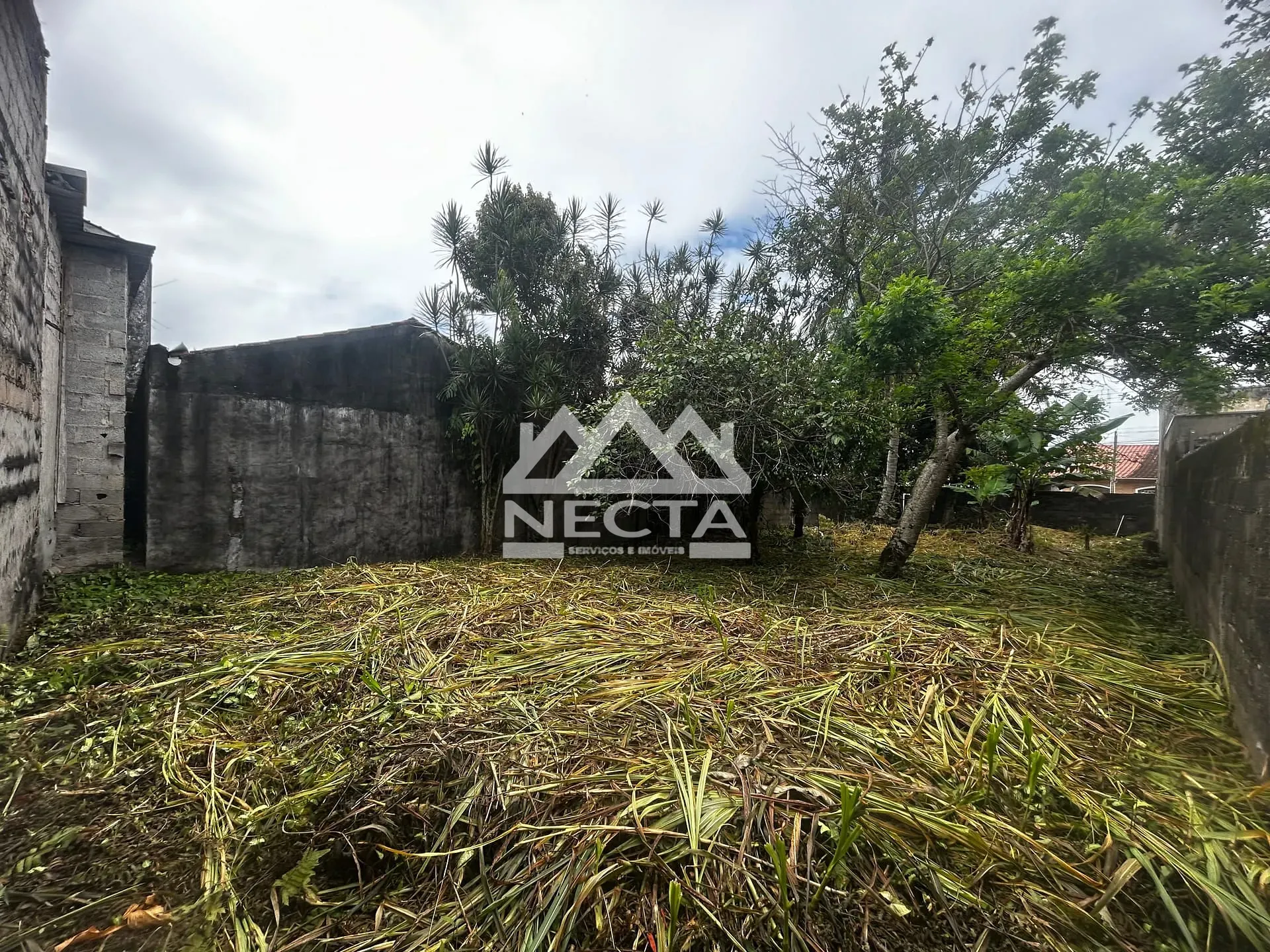 Terreno, 300 m² - Foto 8