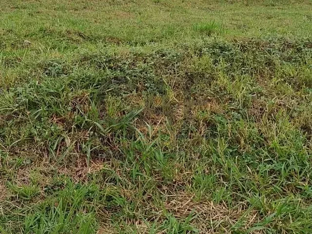 Terreno com 250m², à venda, no bairro Nova Jaguariúna em Jaguariúna