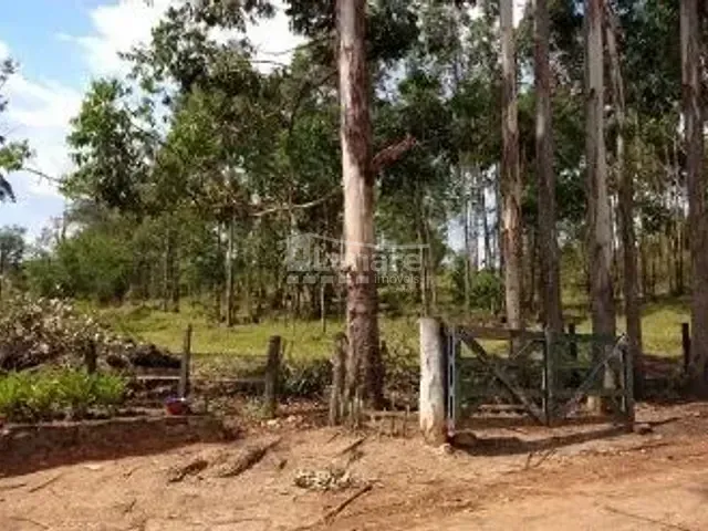 Terreno com 290400m², à venda, no bairro Sousas em Campinas