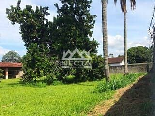 Terreno, 2415 m² - Foto 5