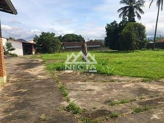 Terreno, 2415 m² - Foto 12