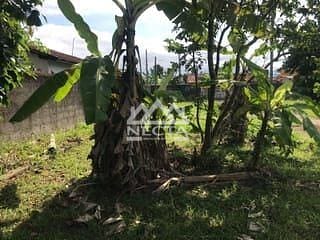 Terreno, 2415 m² - Foto 7