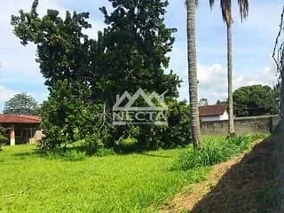 Terreno, 2415 m² - Foto 5