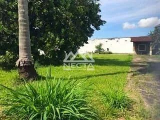 Terreno, 2415 m² - Foto 22