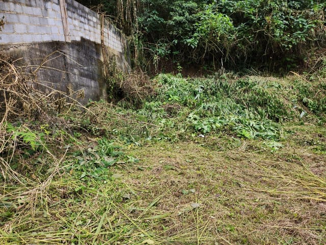 Terreno com 1355m², à venda, no bairro Quarteirão Ingelheim em Petrópolis