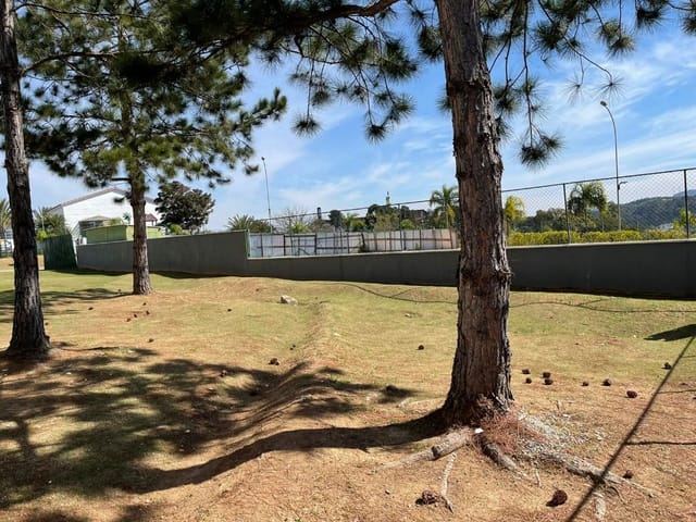 Terreno com 536m², à venda, no bairro Alphaville Empresarial em Barueri
