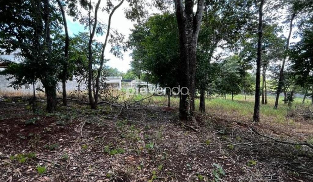 Terreno, 1395 m² - Foto 3