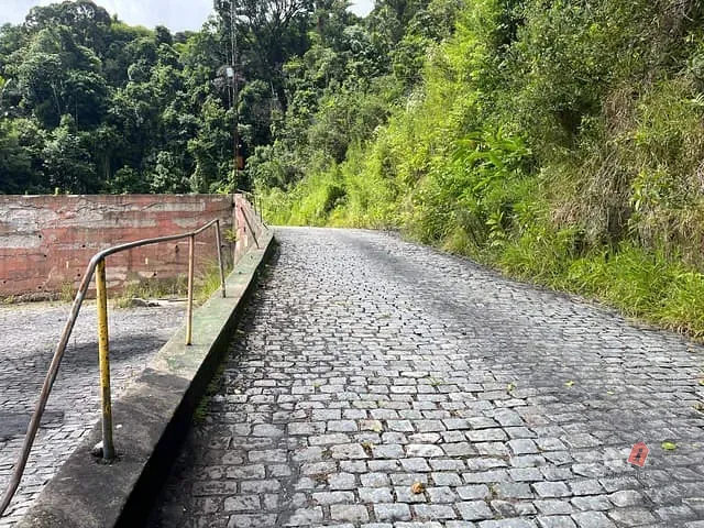 Terreno com 10000m², à venda, no bairro Coronel Veiga em Petrópolis