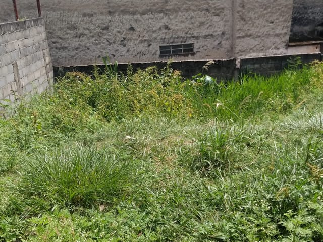 Terreno com 250m², à venda, no bairro Conjunto Residencial Araretama em Pindamonhangaba