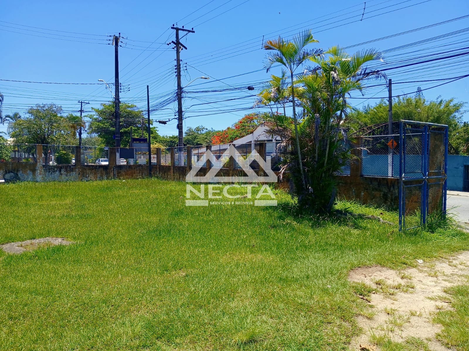 Terreno, 1740 m² - Foto 5