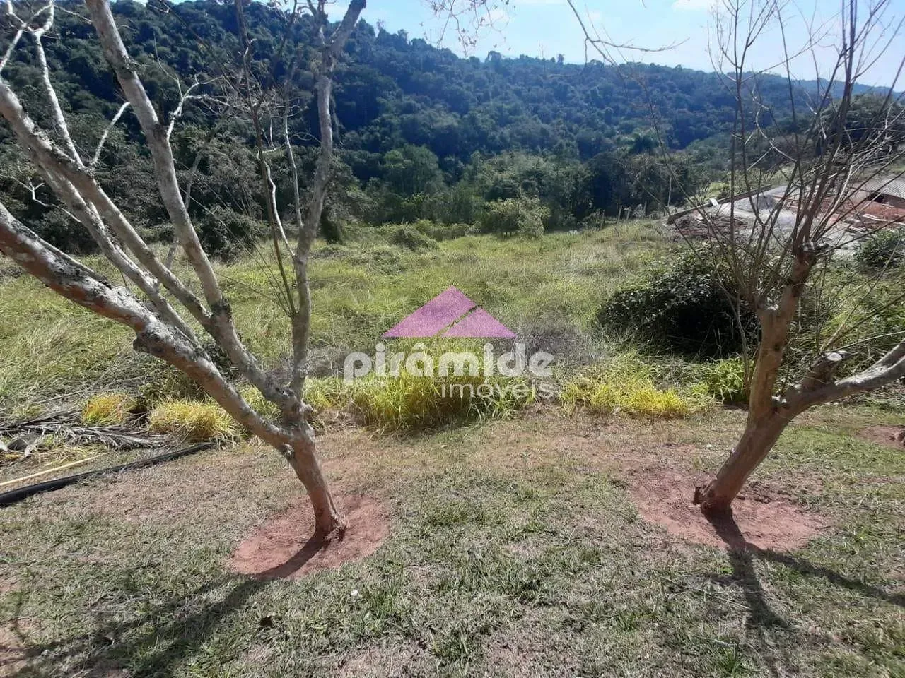 Terreno, 1168 m² - Foto 5
